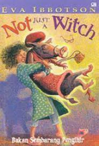 Image of BUKAN SEMBARANG PENYIHIR